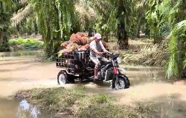 Kendaraan Perkebunan yang Tepat untuk Langsir Sawit: Mengapa VIAR R5Ke Menjadi Solusi Efisien di Lapangan?